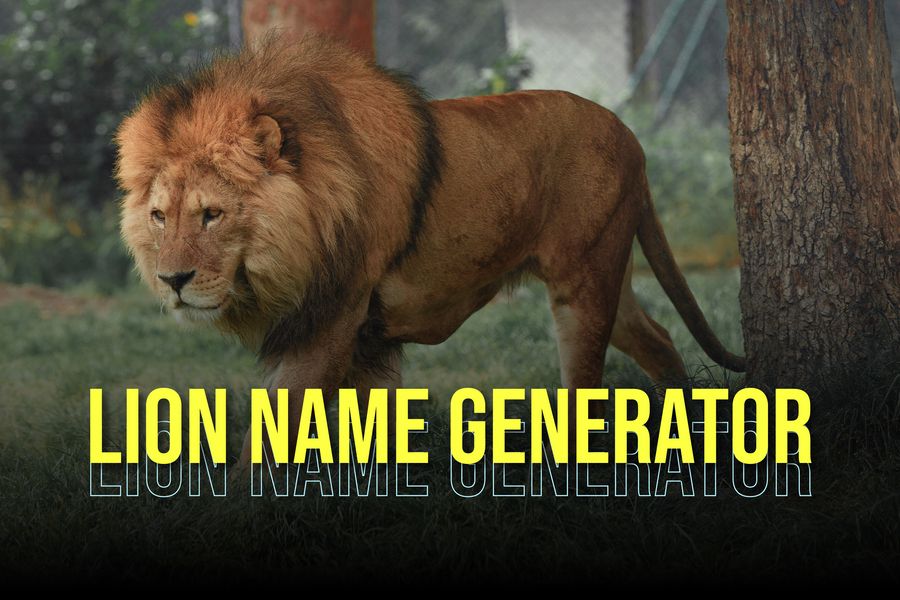 Lion Name Generator: Where Furry Legends Begin