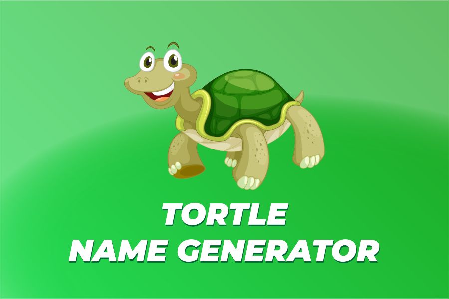 Tortle Name Generator: A Gateway to Imaginative Tortle Naming